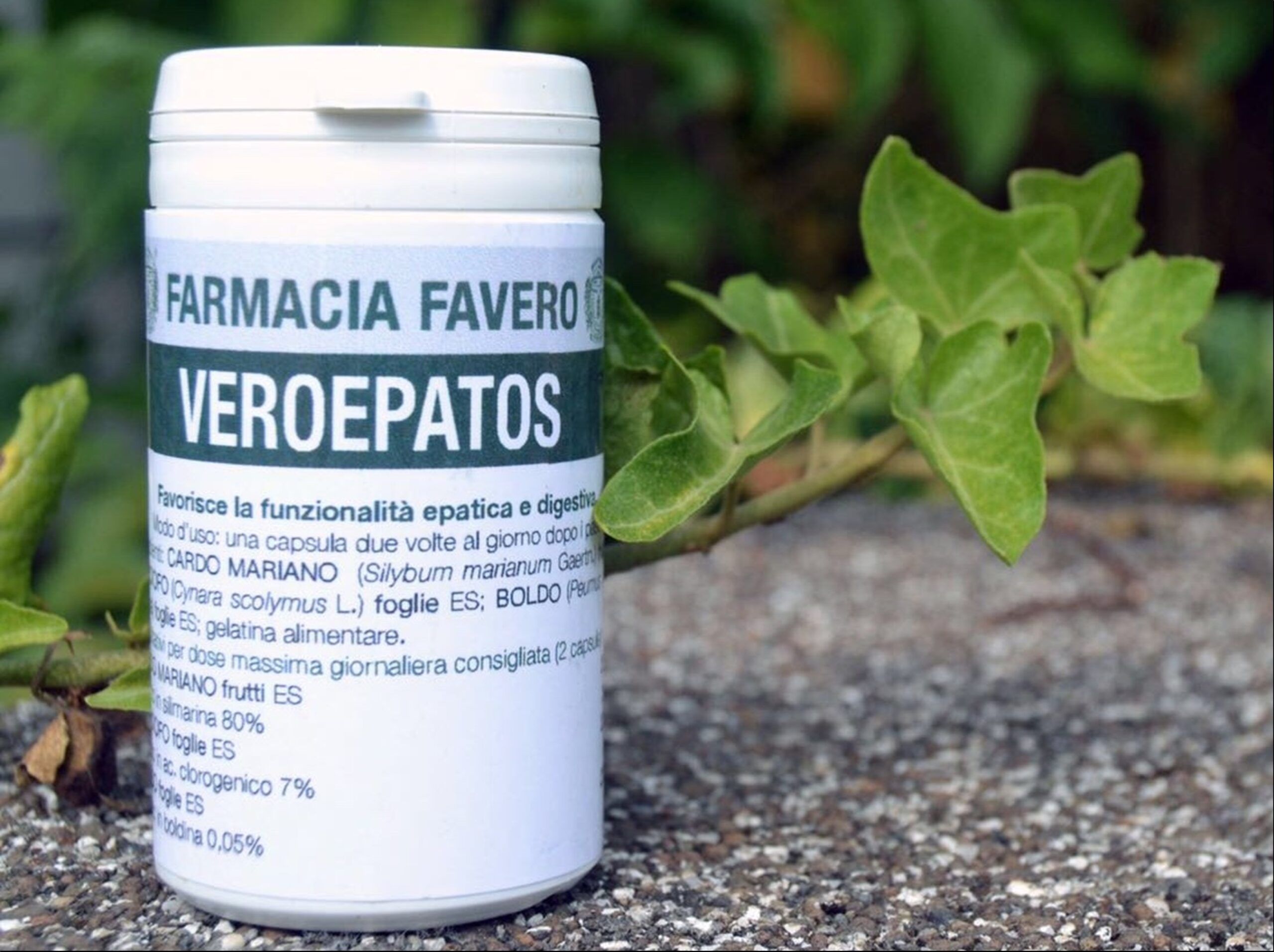 fegato un supporto naturale